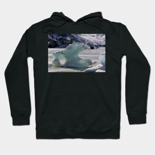 Hooker Lake icebergs Hoodie